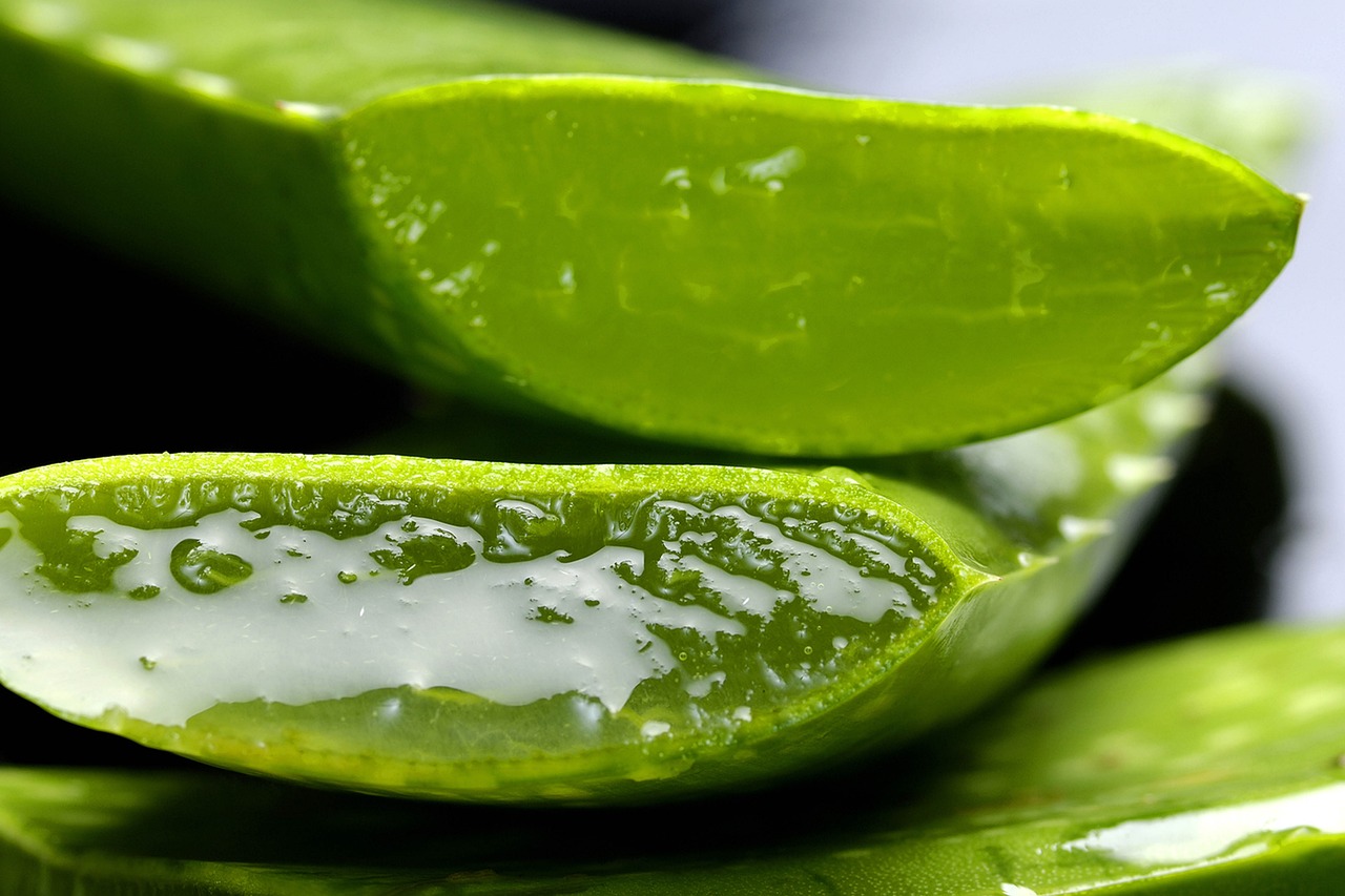 Scopri come funziona Aloe Vera Pura e come si usa per il benessere